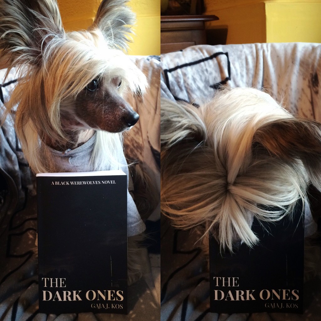 the dark ones chinese crested